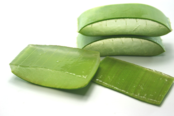 aloe-vera-corte-hoja-gel