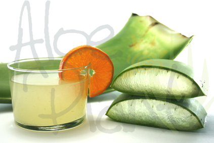 pulpa de aloe para beber